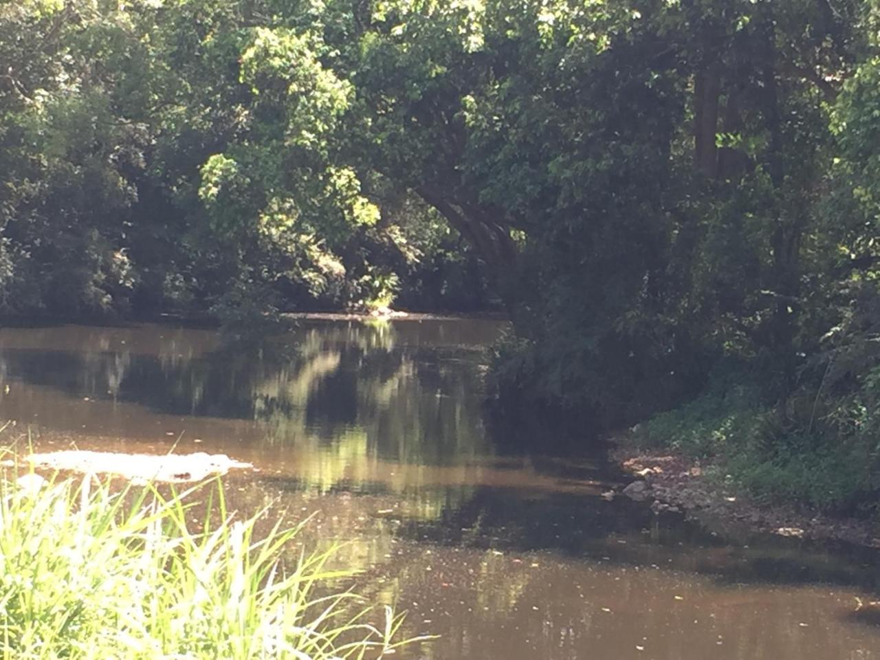 Yandina Caravan Park Bagian luar foto