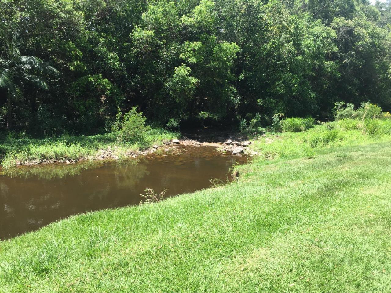 Yandina Caravan Park Bagian luar foto